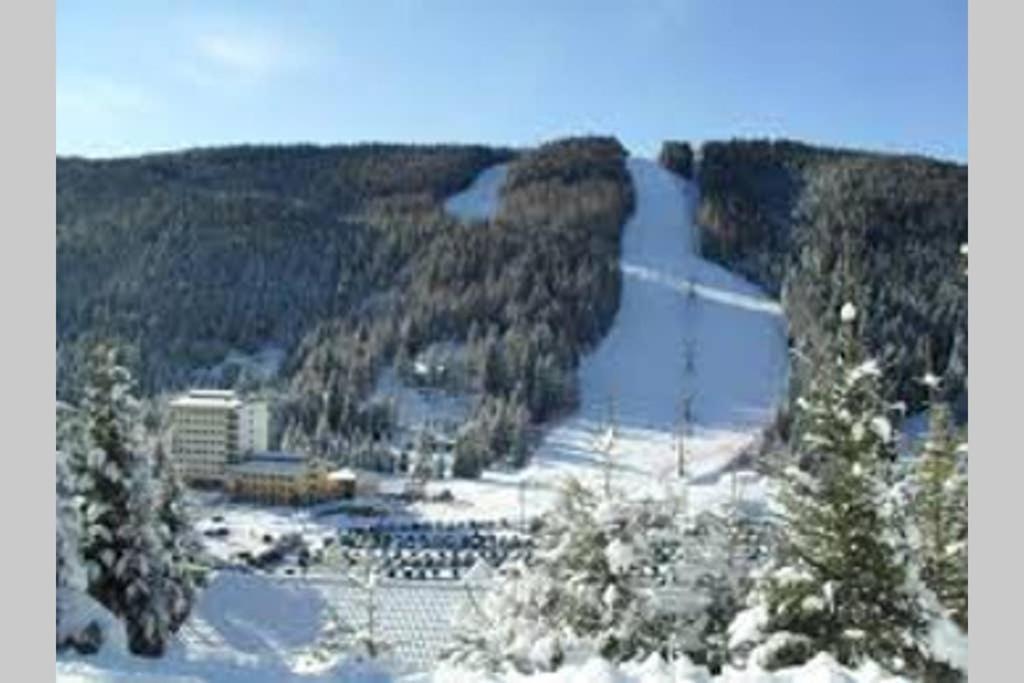 Alloggio Vacanze In Montagna Per Coppia Фольгария Экстерьер фото