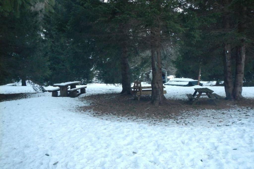 Alloggio Vacanze In Montagna Per Coppia Фольгария Экстерьер фото